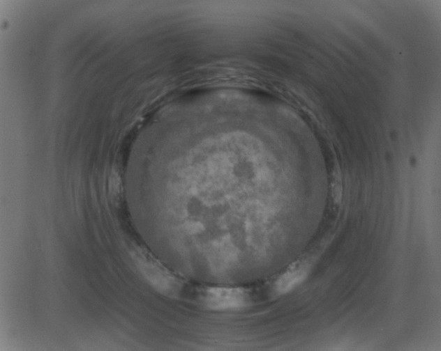 X0000081450371200701121238