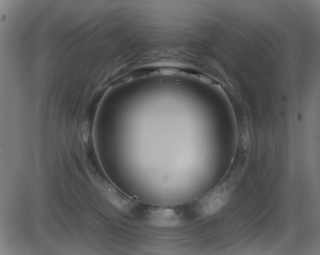 X0000081450374200701121238