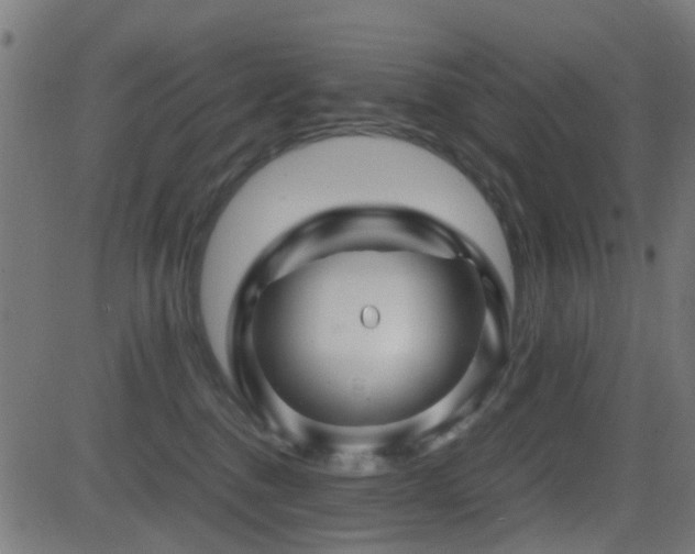 X0000081450376200701121238