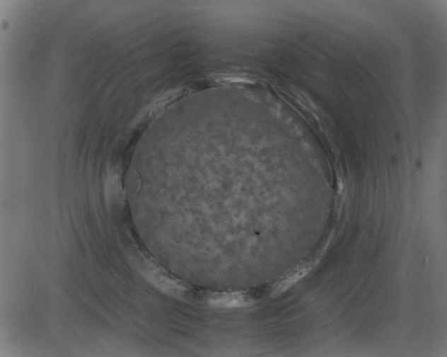 X0000081450377200701121238