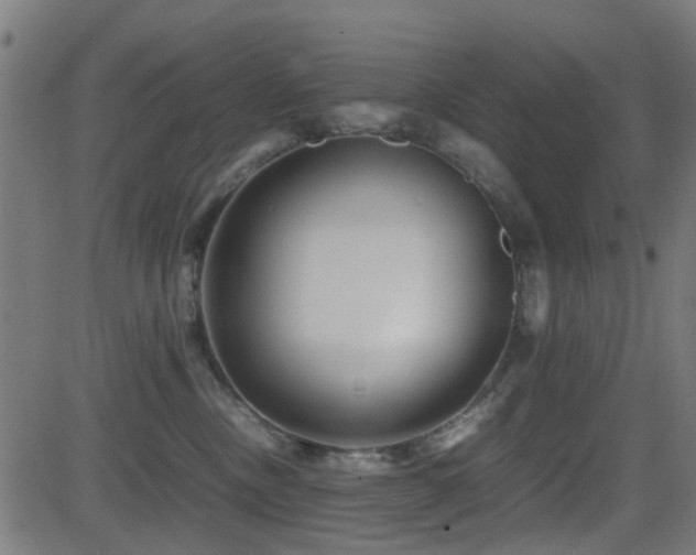 X0000081450378200701121238