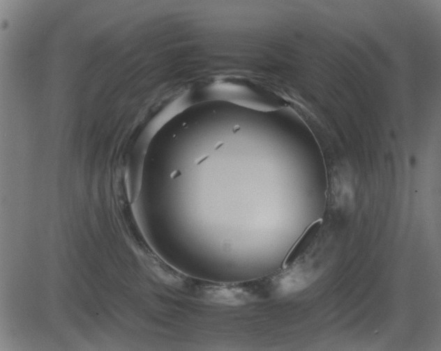 X0000081450379200701121238