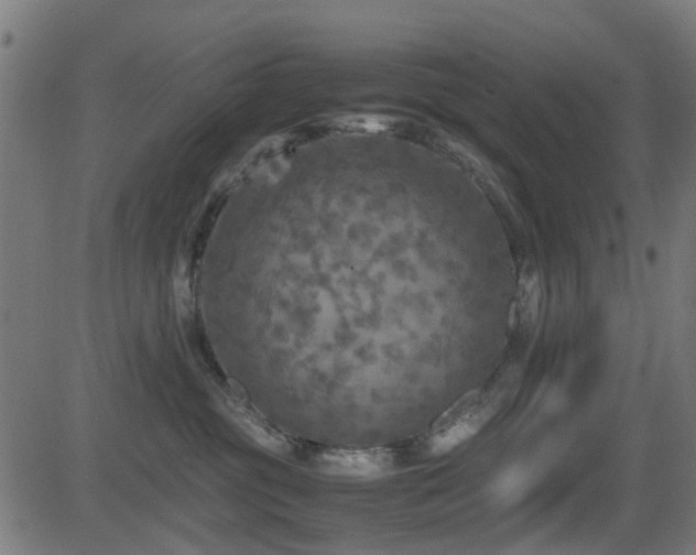 X0000081450381200701121238