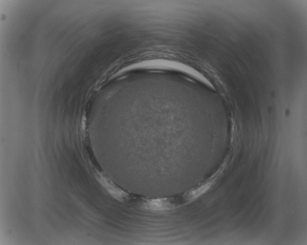 X0000081450382200701121238