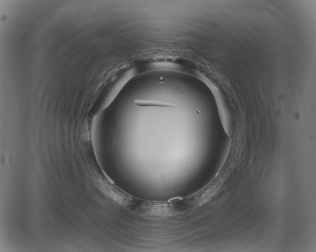 X0000081450384200701121238