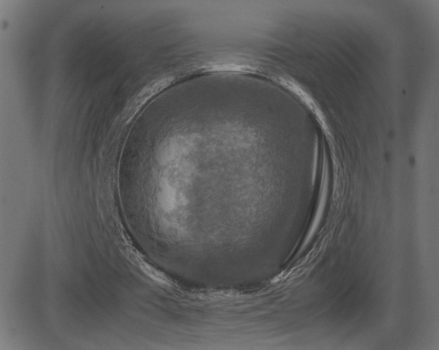 X0000081450385200701121237