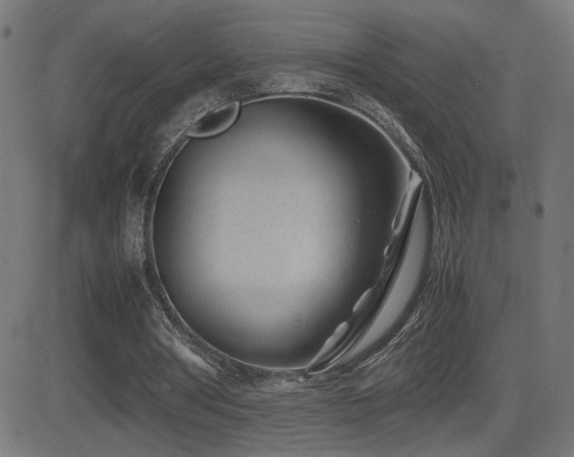 X0000081450386200701121237