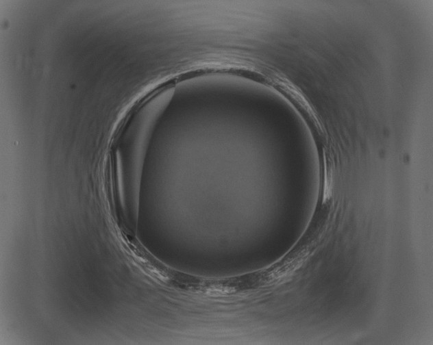 X0000081450387200701121237