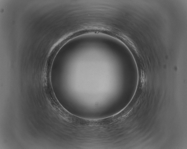 X0000081450388200701121237