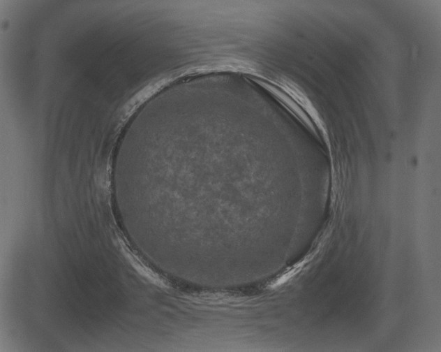 X0000081450389200701121237