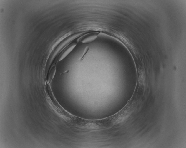 X0000081450390200701121237