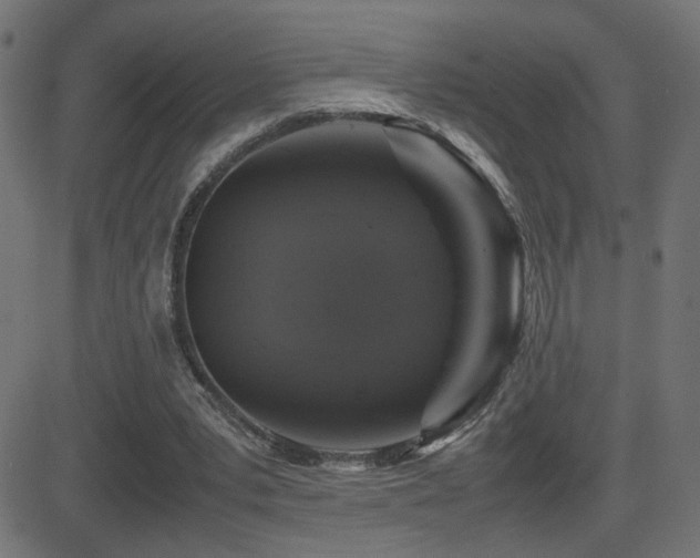 X0000081450391200701121237