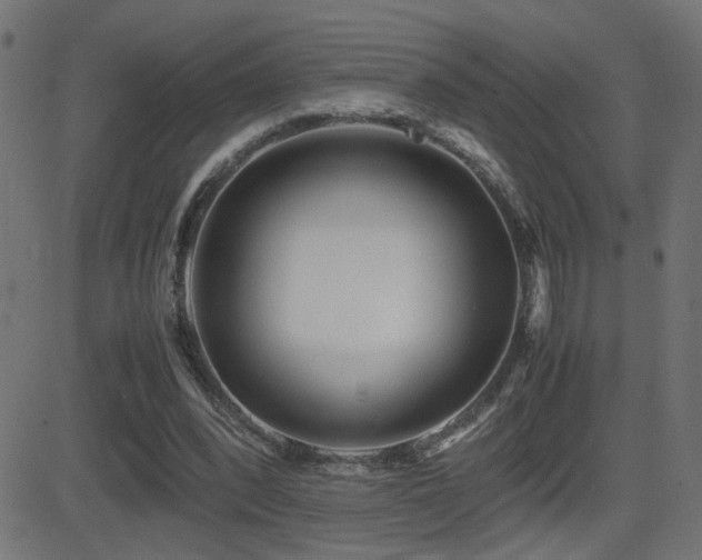 X0000081450392200701121237