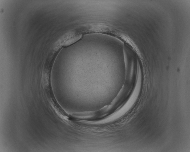 X0000081450393200701121237