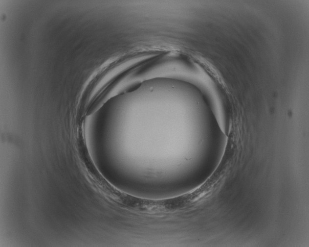 X0000081450395200701121237