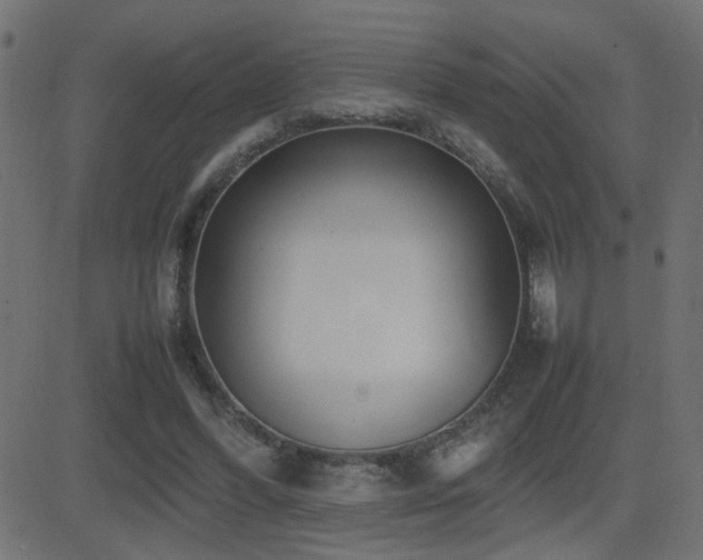 X0000081450396200701121237