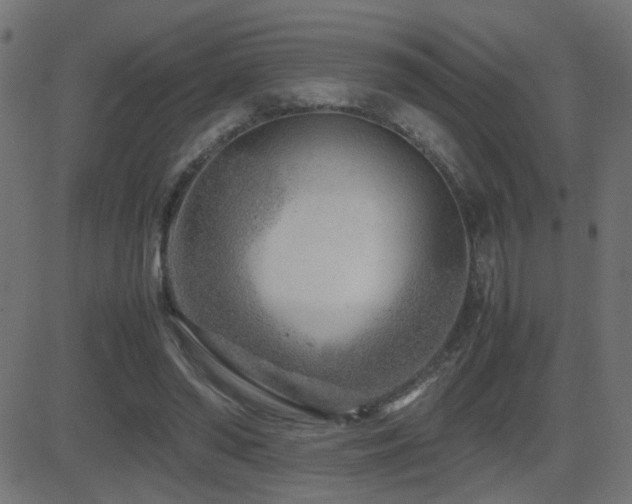 X0000081450398200701121237