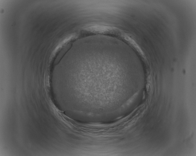 X0000081450399200701121237