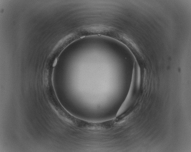 X0000081450400200701121237