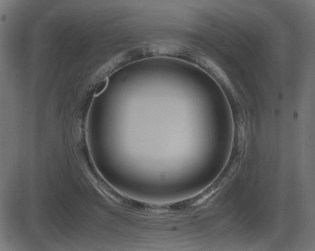 X0000081450401200701121237