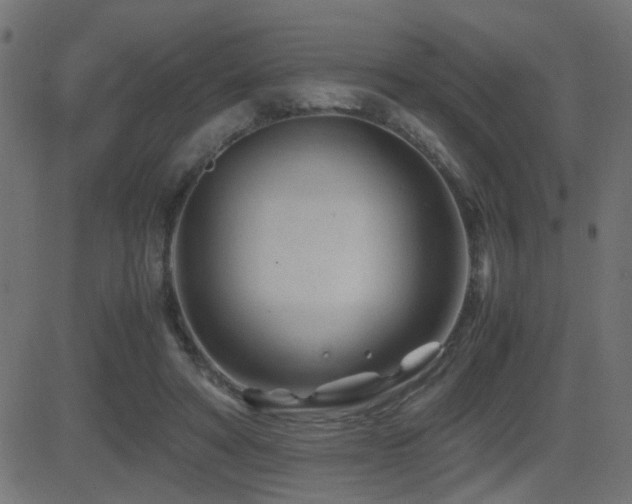 X0000081450402200701121237