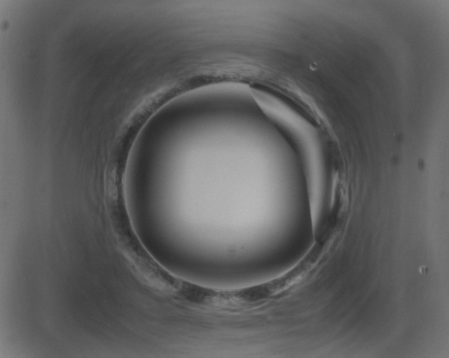 X0000081450403200701121237