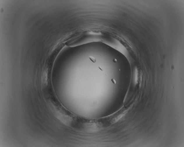 X0000081450404200701121237