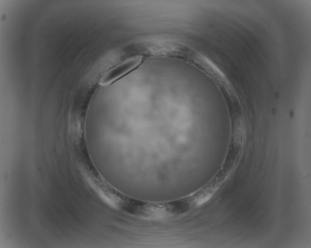 X0000081450405200701121237