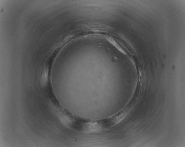 X0000081450406200701121237