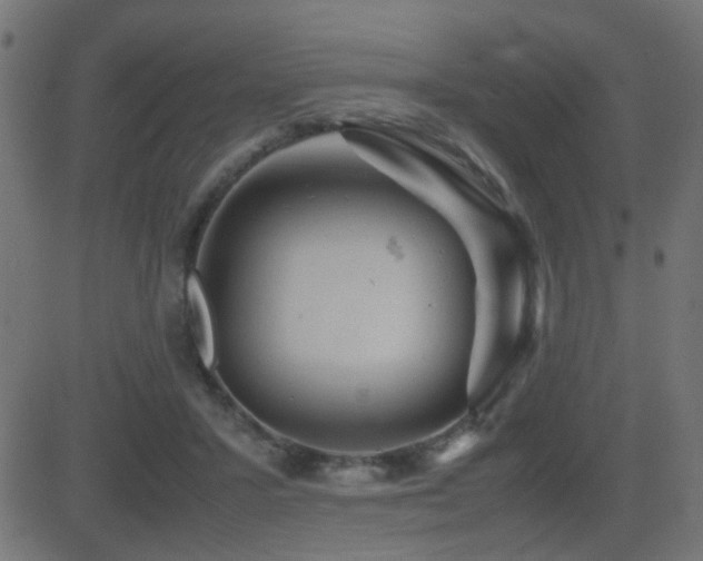 X0000081450407200701121237