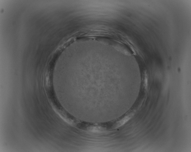 X0000081450408200701121237