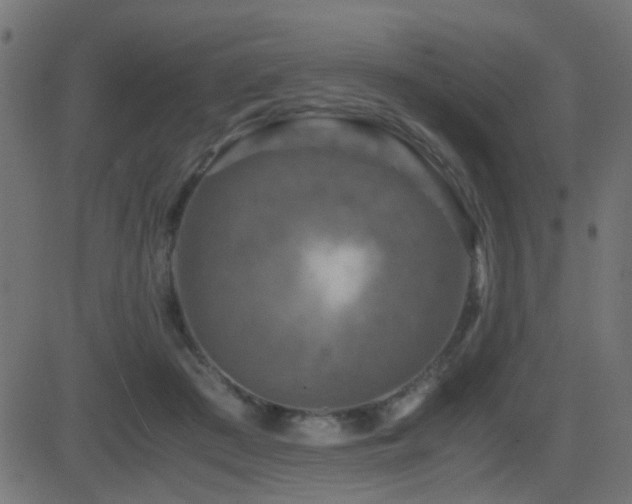 X0000081450409200701121237