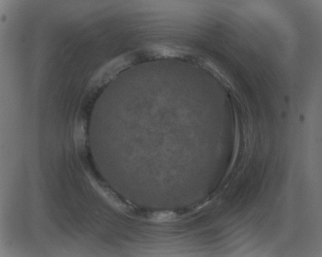 X0000081450410200701121237