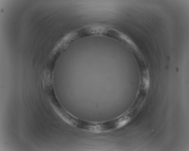 X0000081450411200701121237