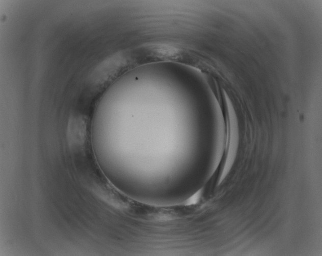 X0000081450412200701121237