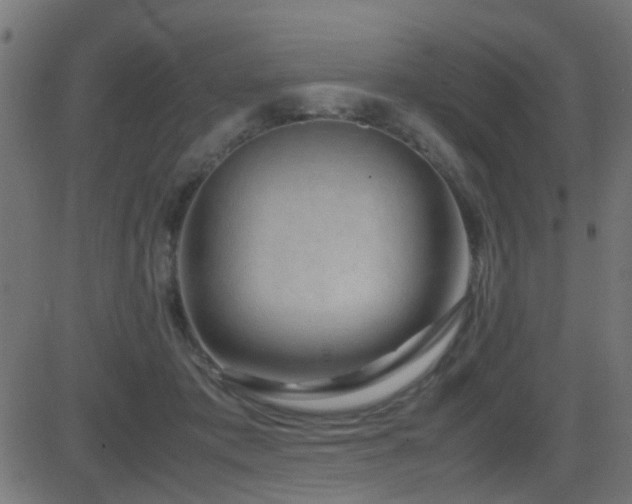 X0000081450413200701121237