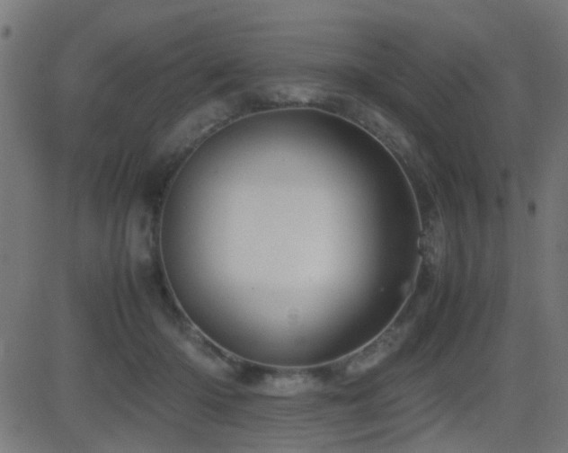 X0000081450414200701121237