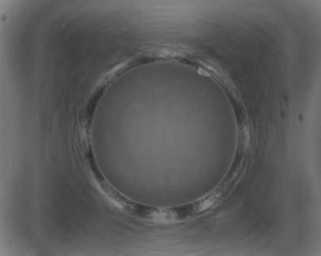 X0000081450415200701121237