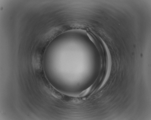 X0000081450416200701121237