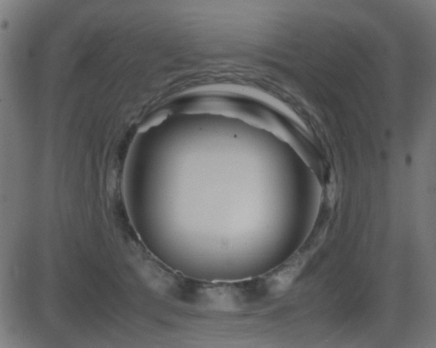 X0000081450417200701121237