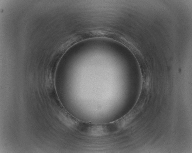 X0000081450418200701121237