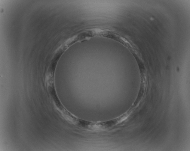 X0000081450419200701121237