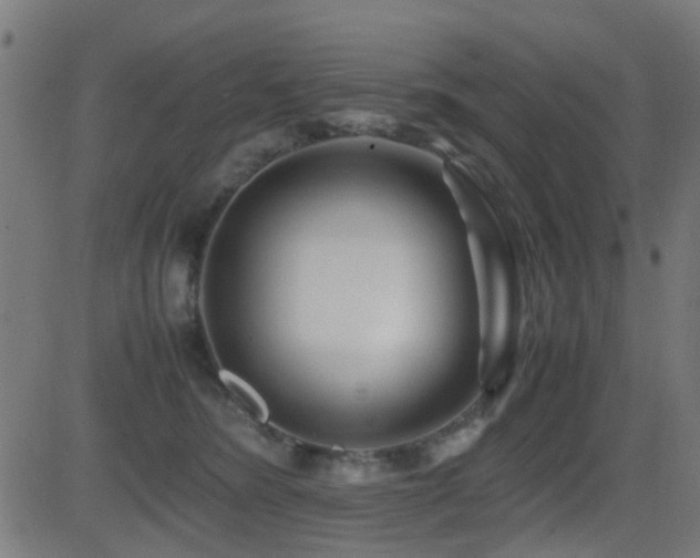 X0000081450420200701121236