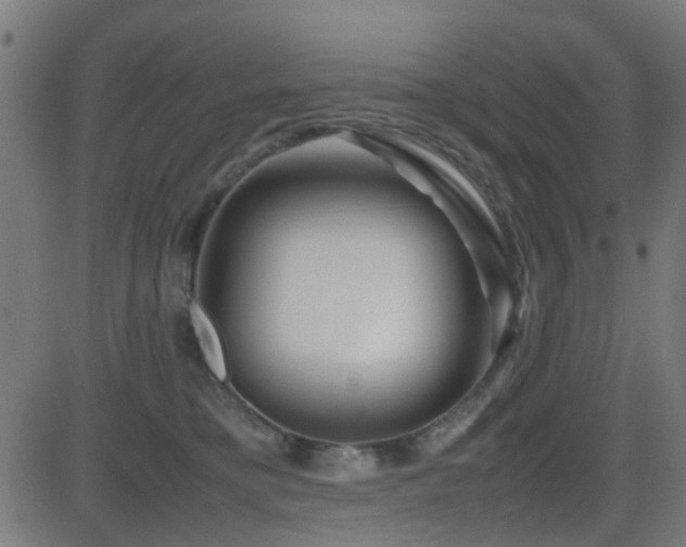 X0000081450421200701121236