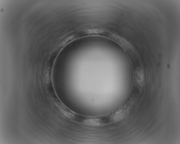 X0000081450422200701121236