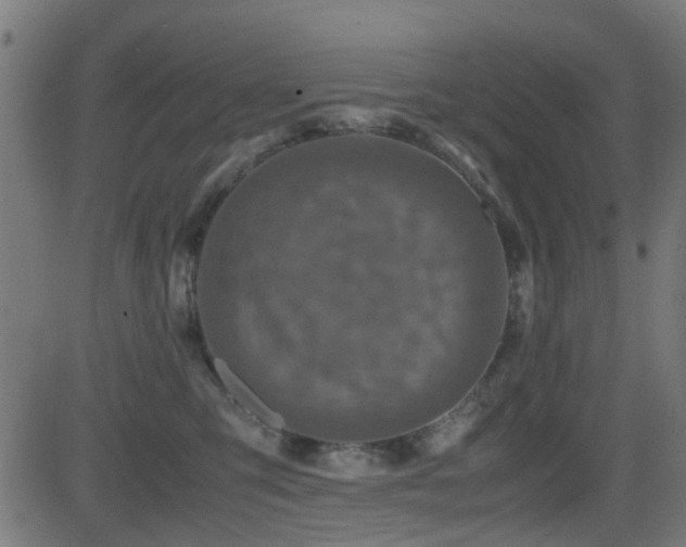 X0000081450423200701121236