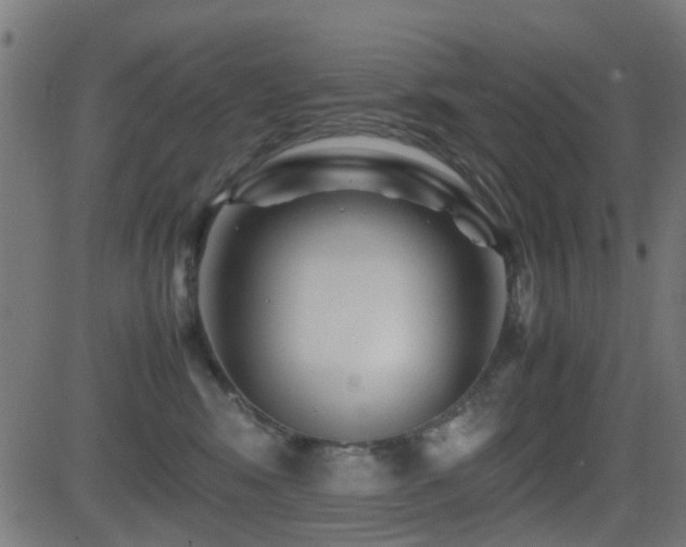 X0000081450424200701121236