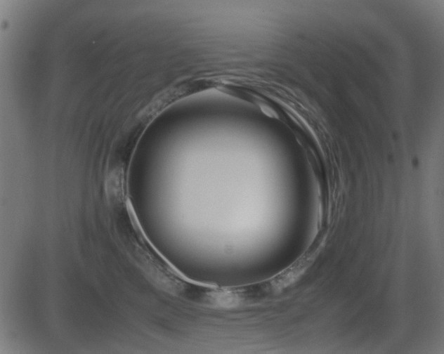 X0000081450425200701121236