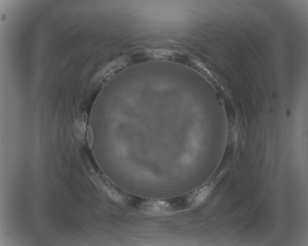 X0000081450427200701121236