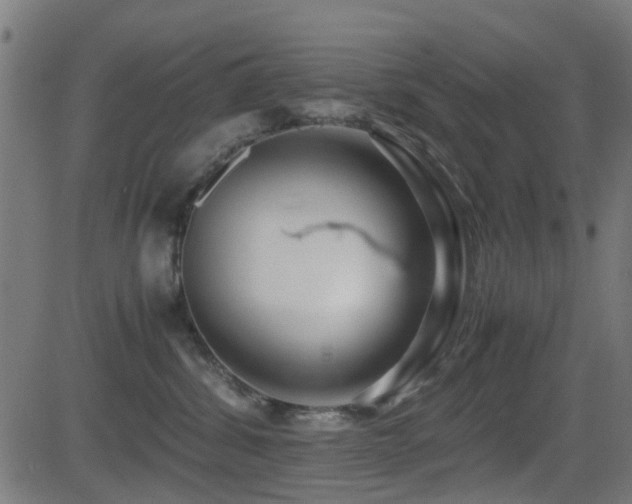 X0000081450428200701121236